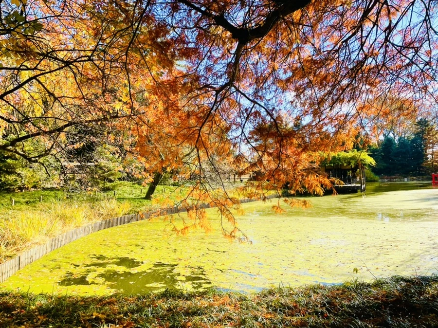 IMG_3171.jpg?type=w966