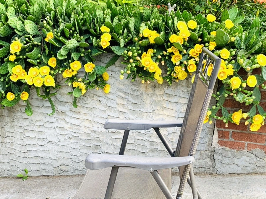 IMG_2682.jpg?type=w966