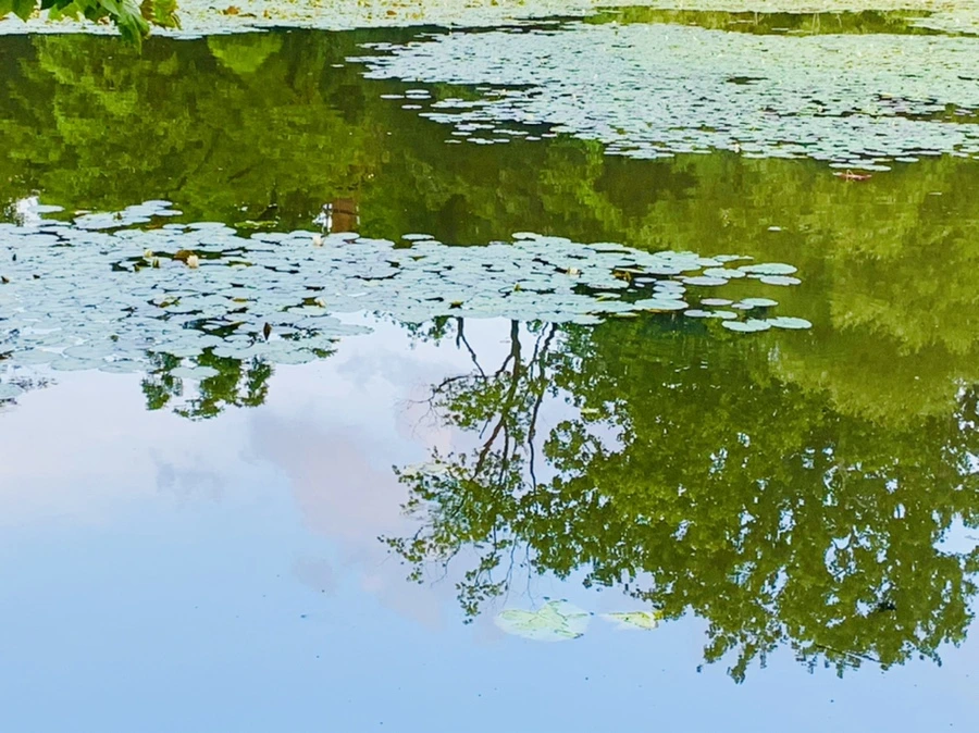 IMG_2977.jpg?type=w966