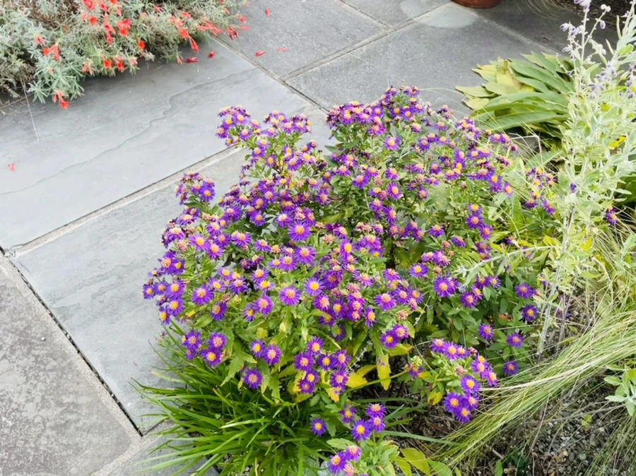 IMG_2402.jpg?type=w966