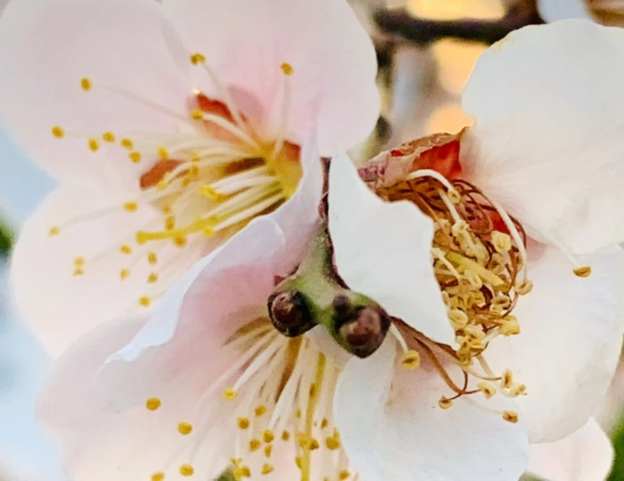 IMG_2875.jpg?type=w966