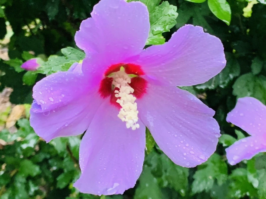 IMG_3697.jpg?type=w966