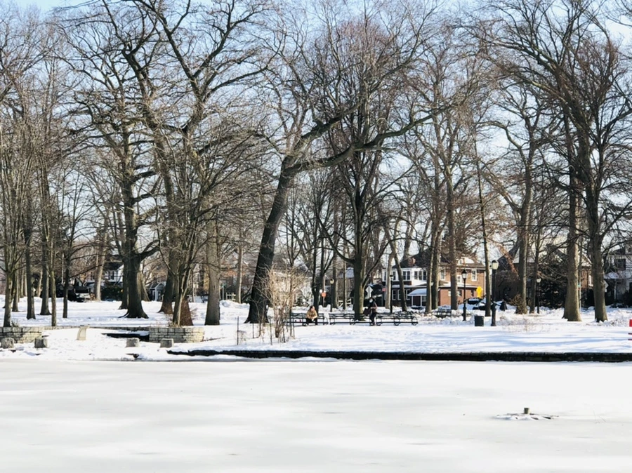 IMG_0299.jpg?type=w966