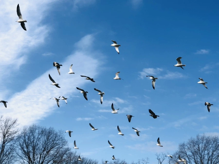 IMG_4708.jpg?type=w966