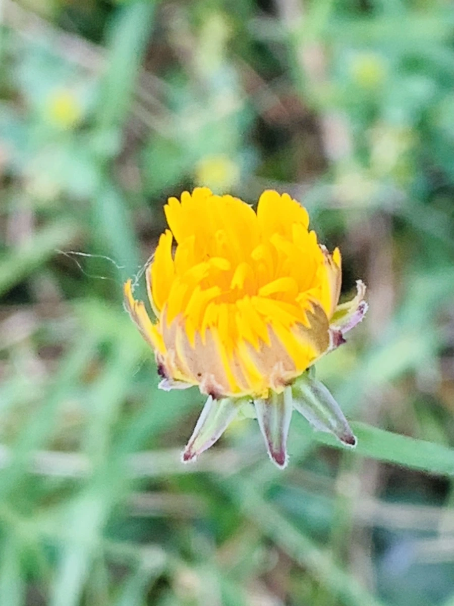 IMG_5346.jpg?type=w966