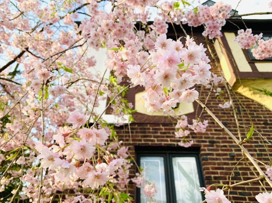 IMG_3794.jpg?type=w966