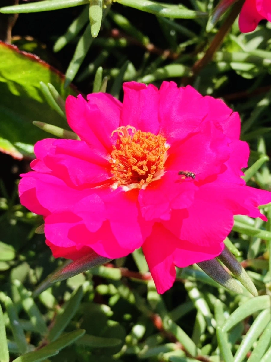 IMG_8374.jpg?type=w966