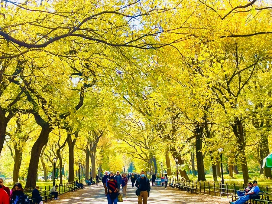 IMG_1586.jpg?type=w966