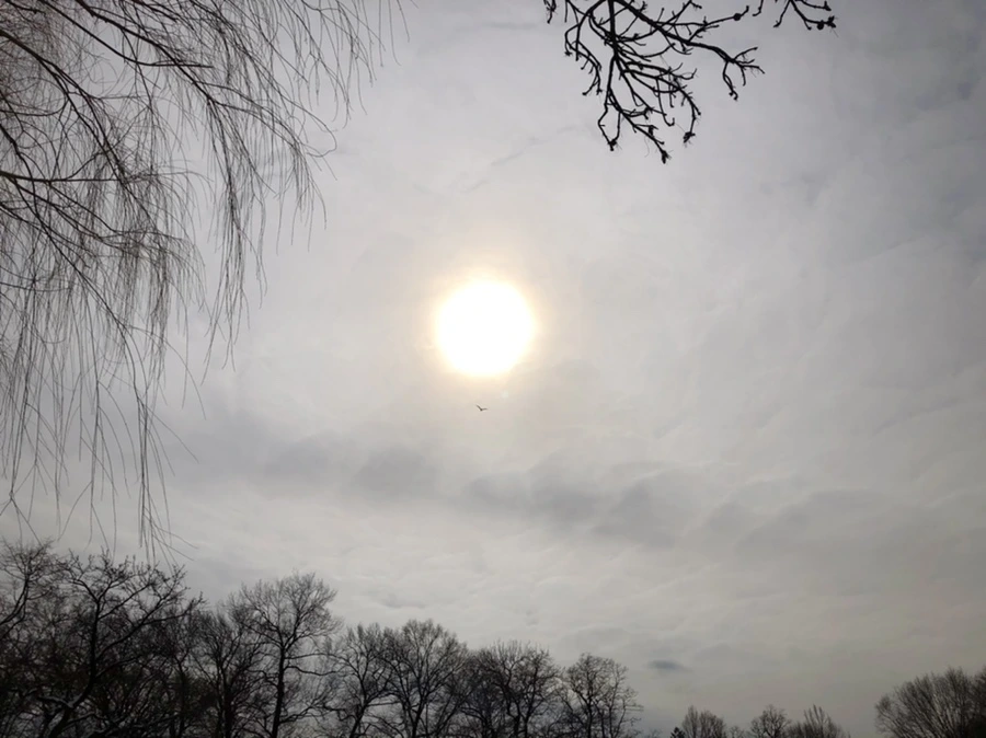 IMG_2178.jpg?type=w966