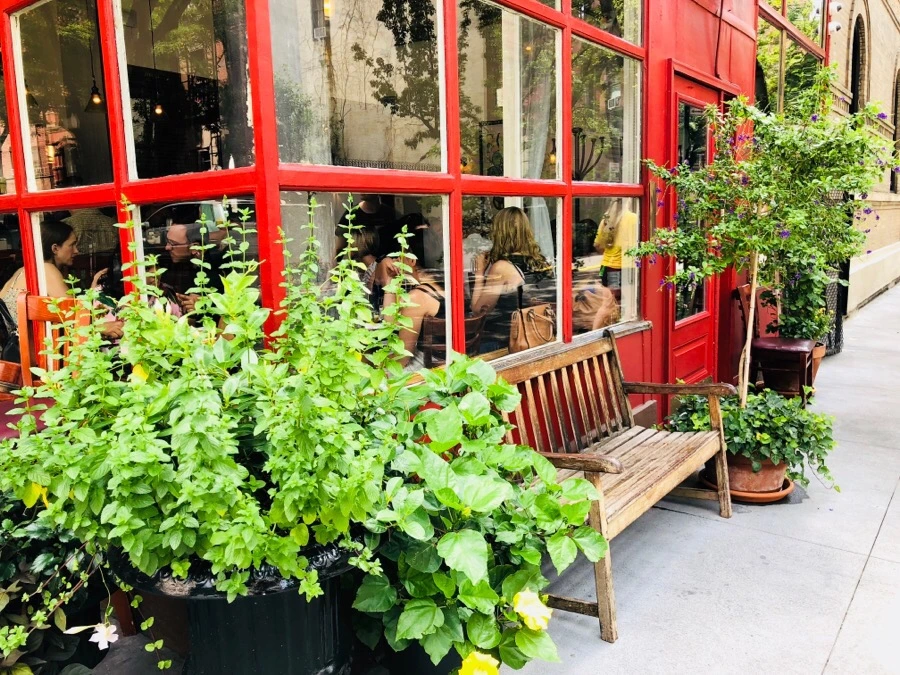 IMG_1235.jpg?type=w966