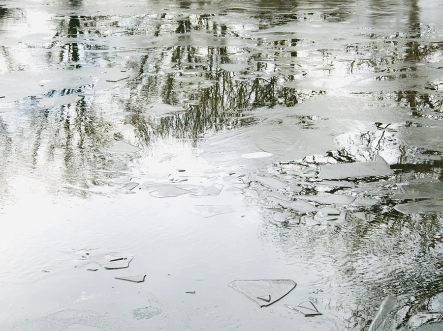 IMG_4786.jpg?type=w966