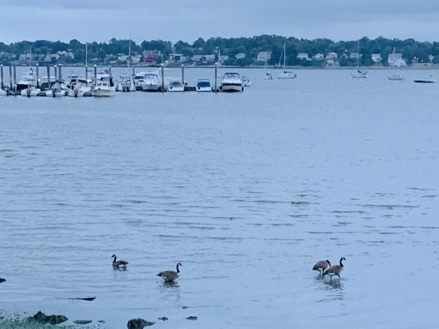 IMG_6764.jpg?type=w966