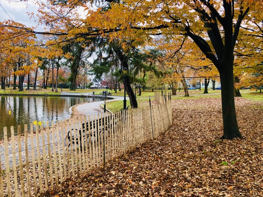 IMG_5442.jpg?type=w966