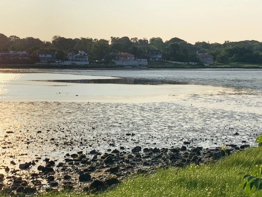 IMG_9809.jpg?type=w966