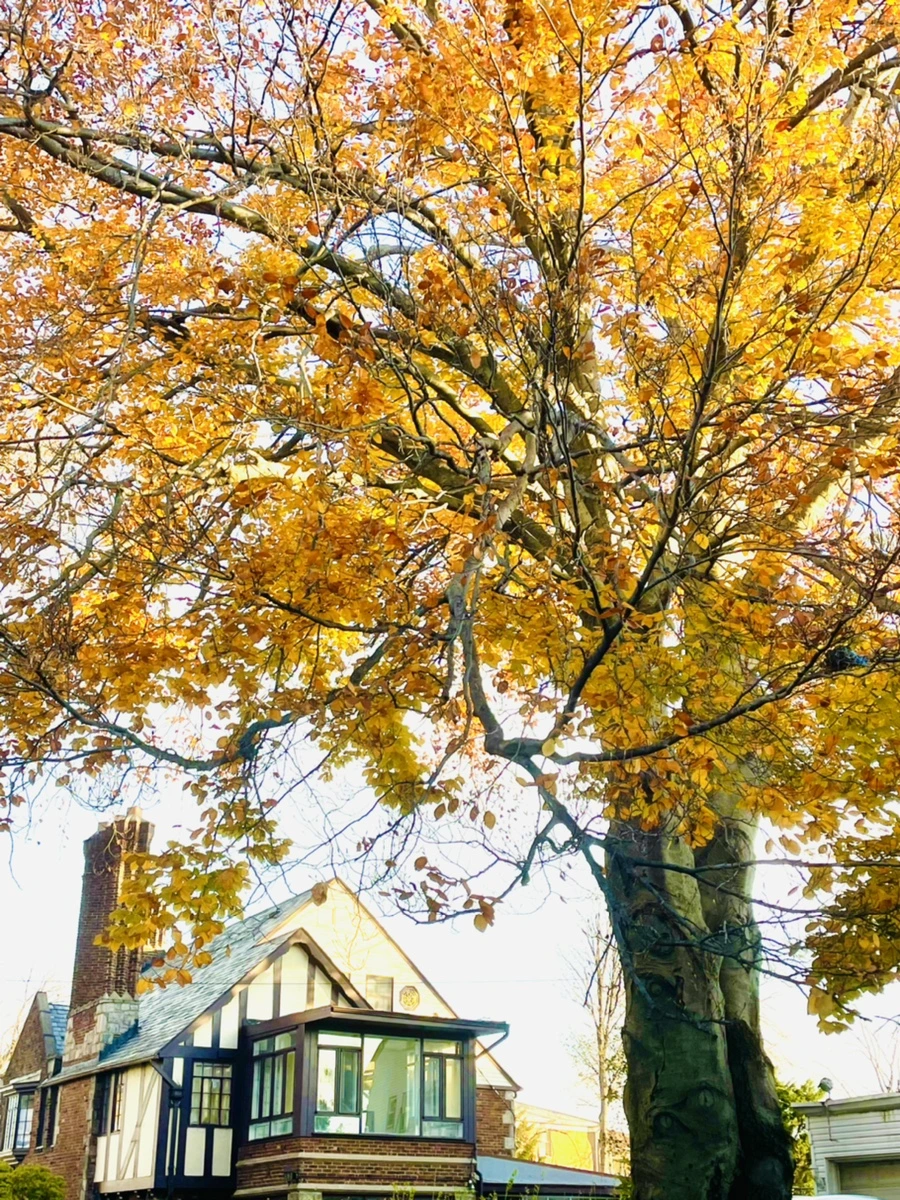 IMG_5967.jpg?type=w966