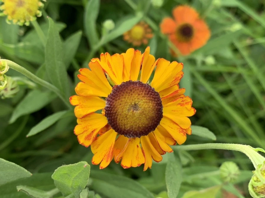 IMG_5995.jpg?type=w966