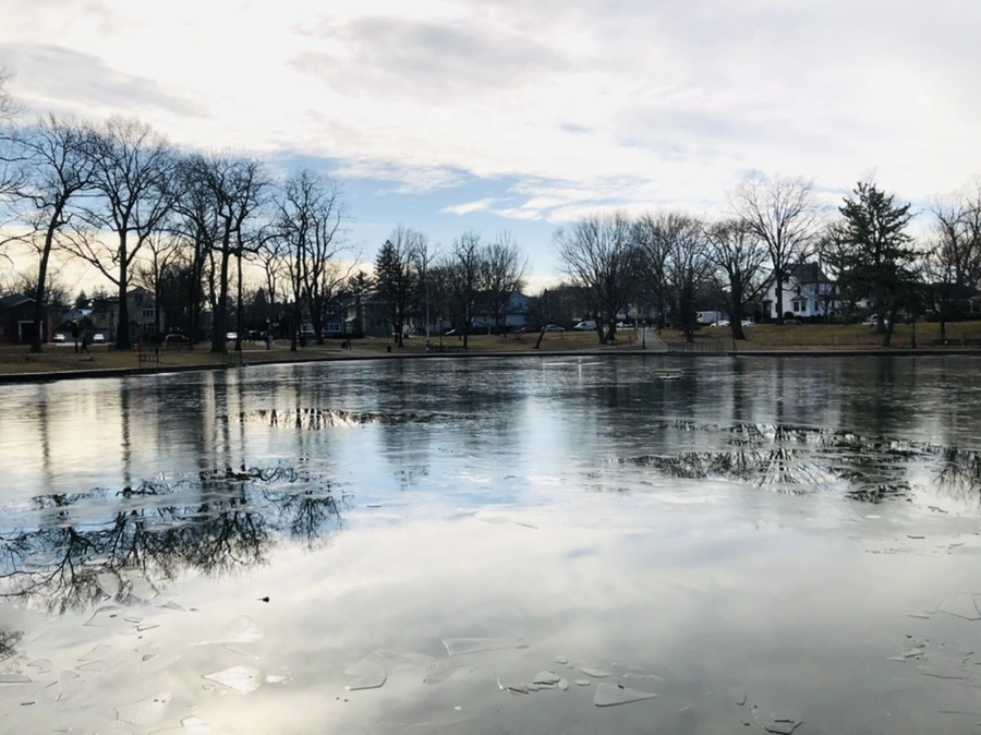 IMG_4738.jpg?type=w966