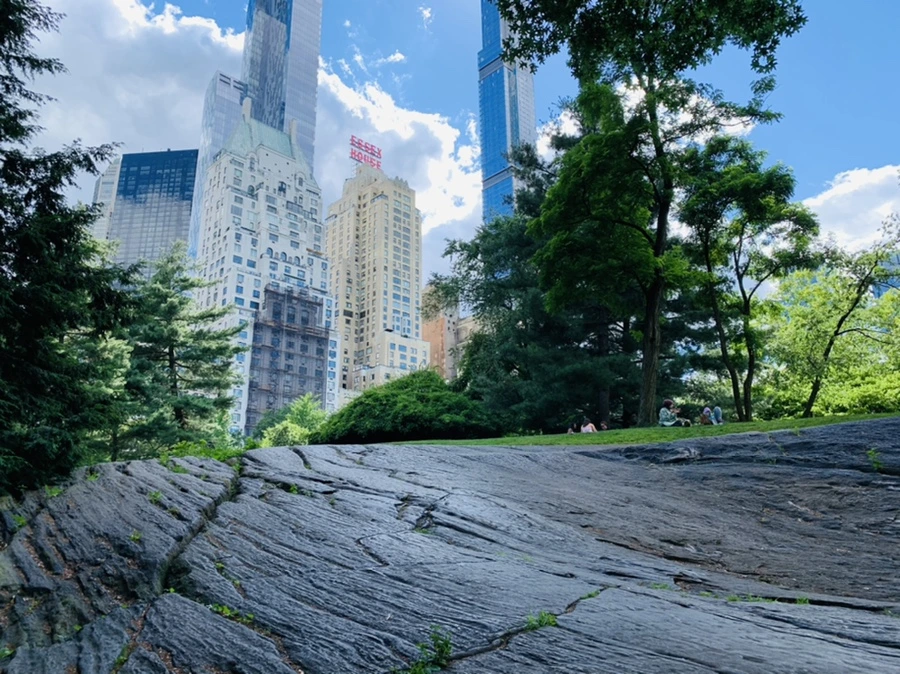 IMG_6477.jpg?type=w966