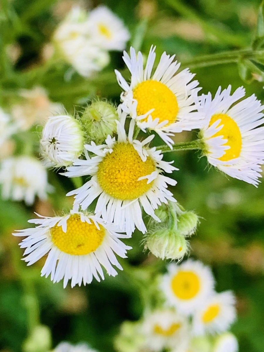 IMG_5925.jpg?type=w966