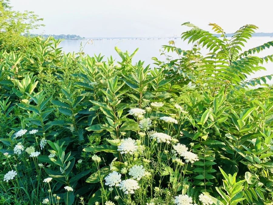 IMG_6459.jpg?type=w966