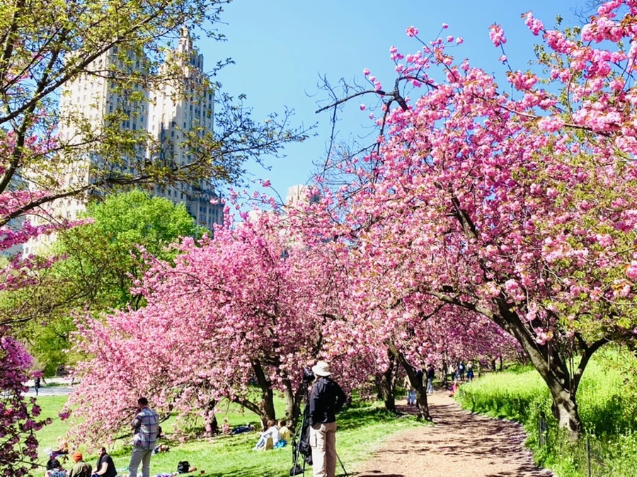 IMG_5957.jpg?type=w966