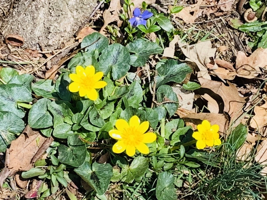 IMG_4510.jpg?type=w966