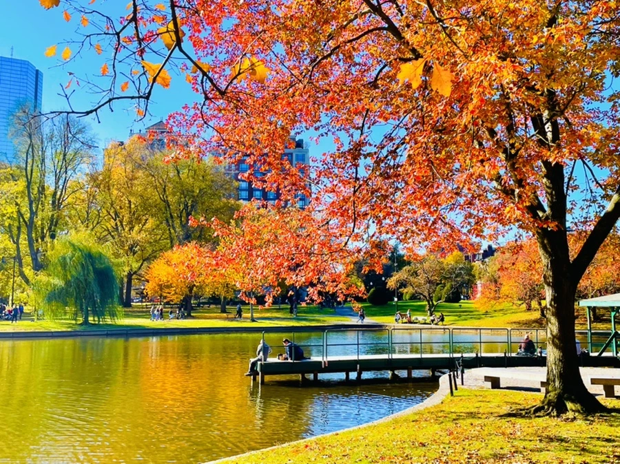 IMG_2604.jpg?type=w966