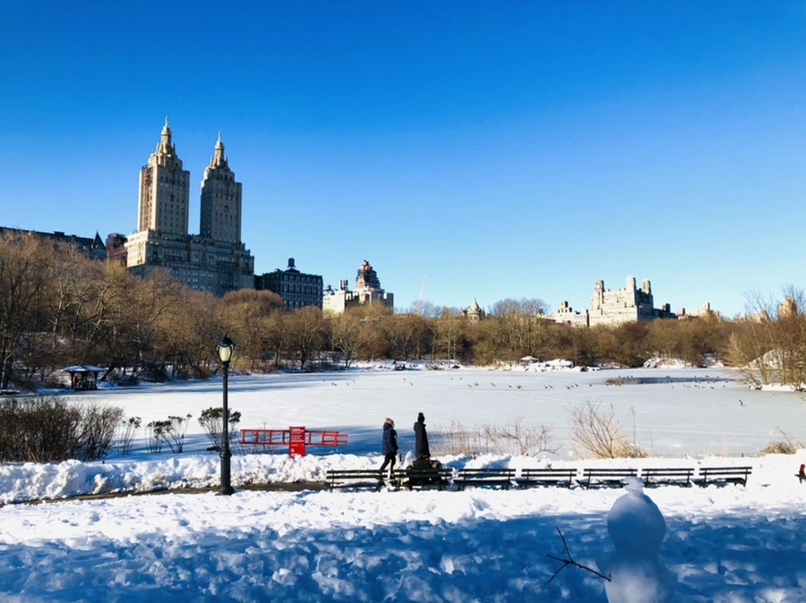 IMG_9810.jpg?type=w966