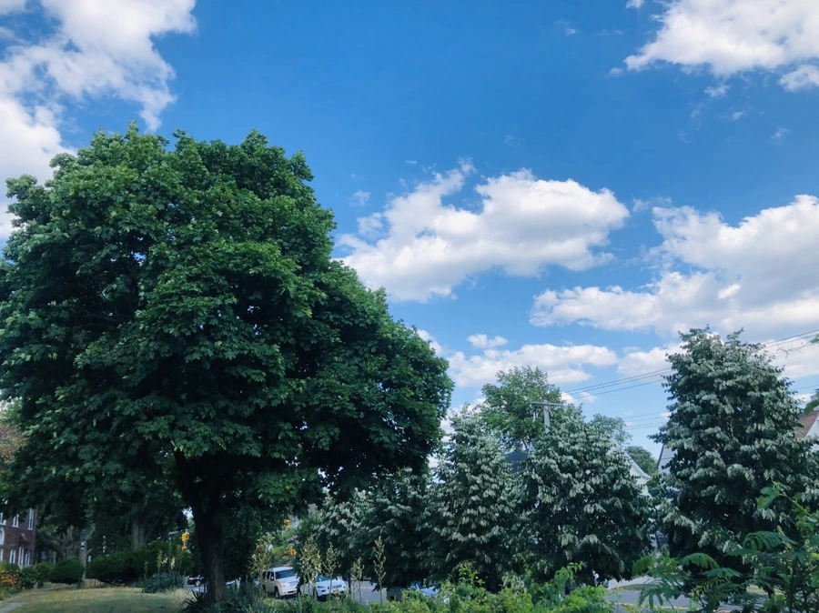 IMG_0269.jpg?type=w966