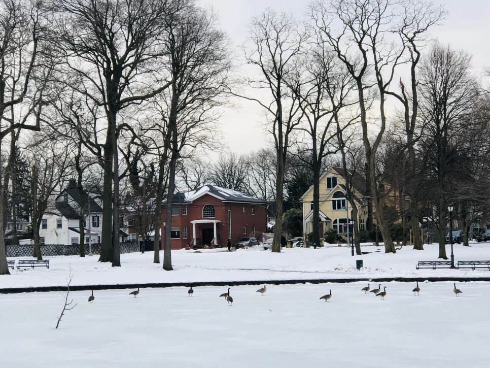 IMG_4472.jpg?type=w966