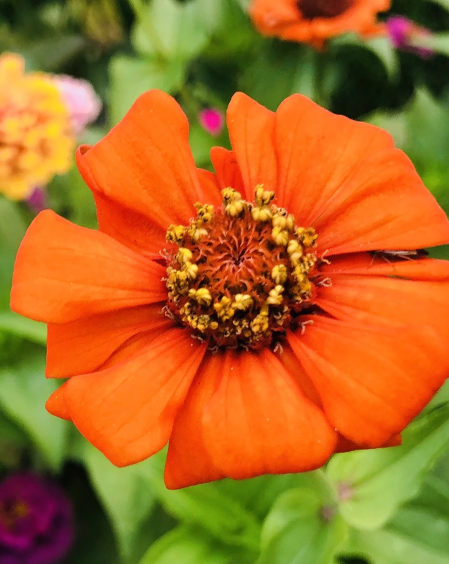 IMG_3628.jpg?type=w966