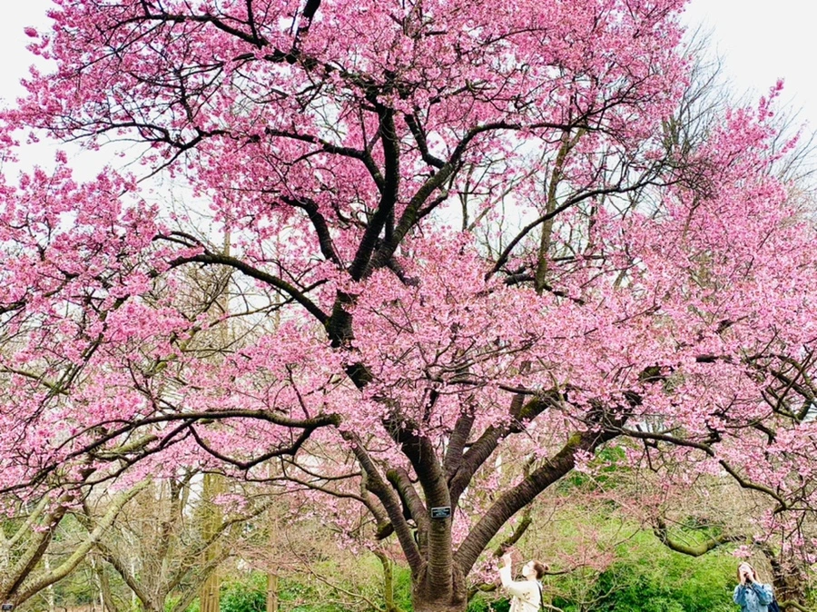 IMG_7045.jpg?type=w966