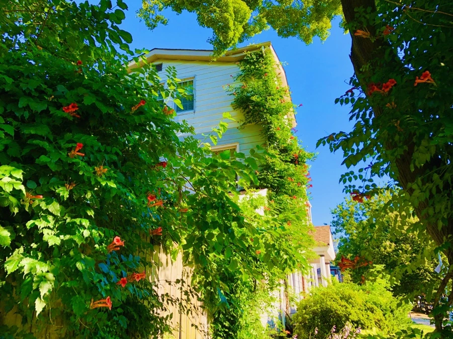 IMG_2773.jpg?type=w966