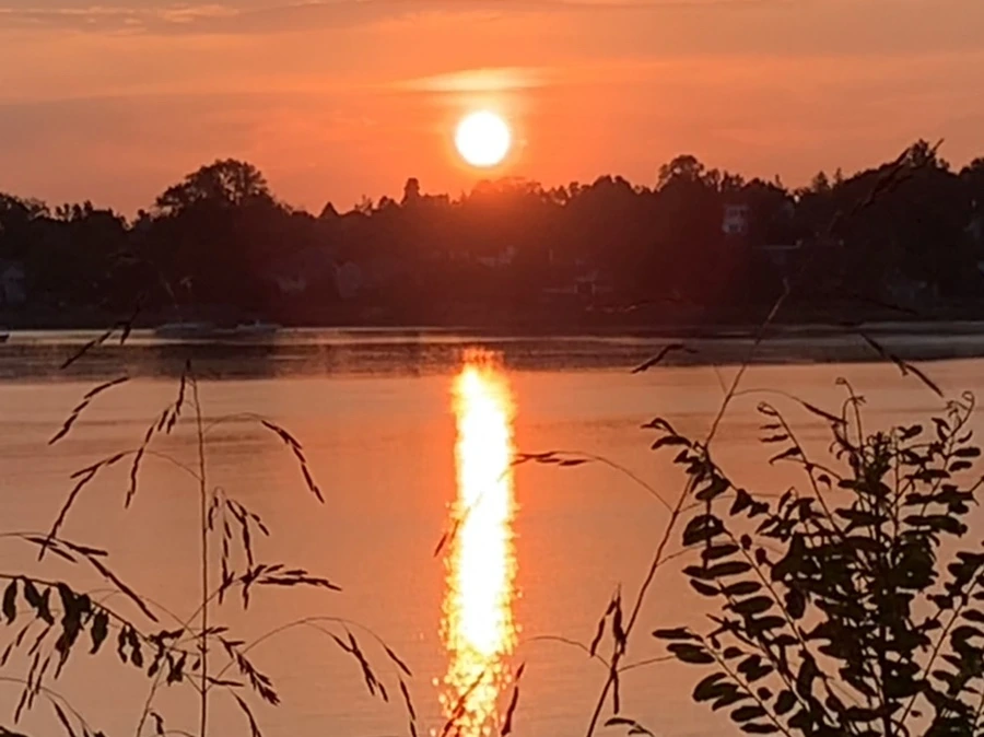 IMG_0987.jpg?type=w966