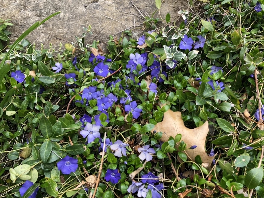 IMG_6711.jpg?type=w966