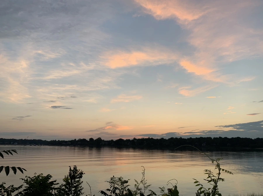 IMG_1167.jpg?type=w966