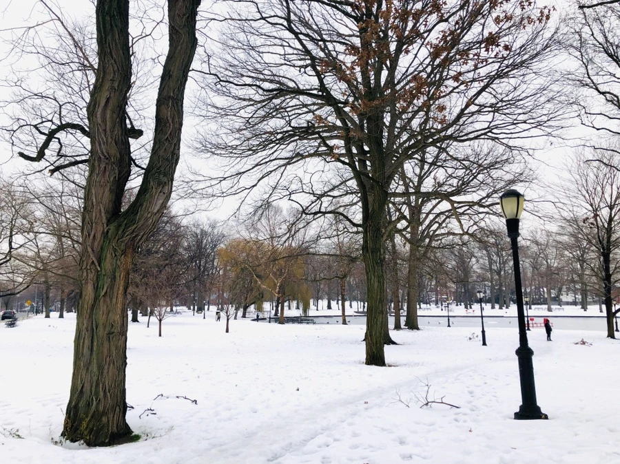 IMG_7555.jpg?type=w966