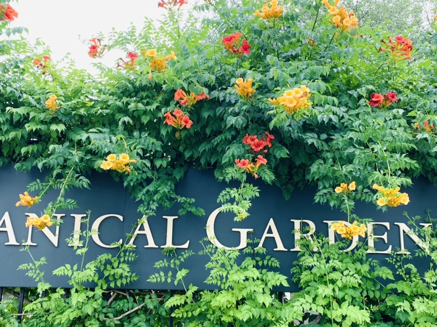 IMG_2357.jpg?type=w966