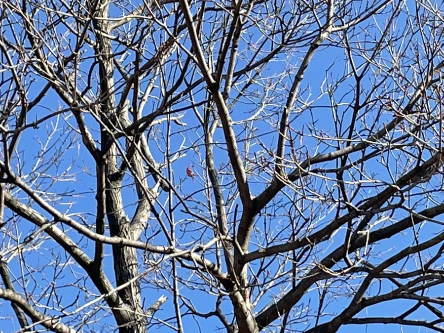 IMG_1759.jpg?type=w966