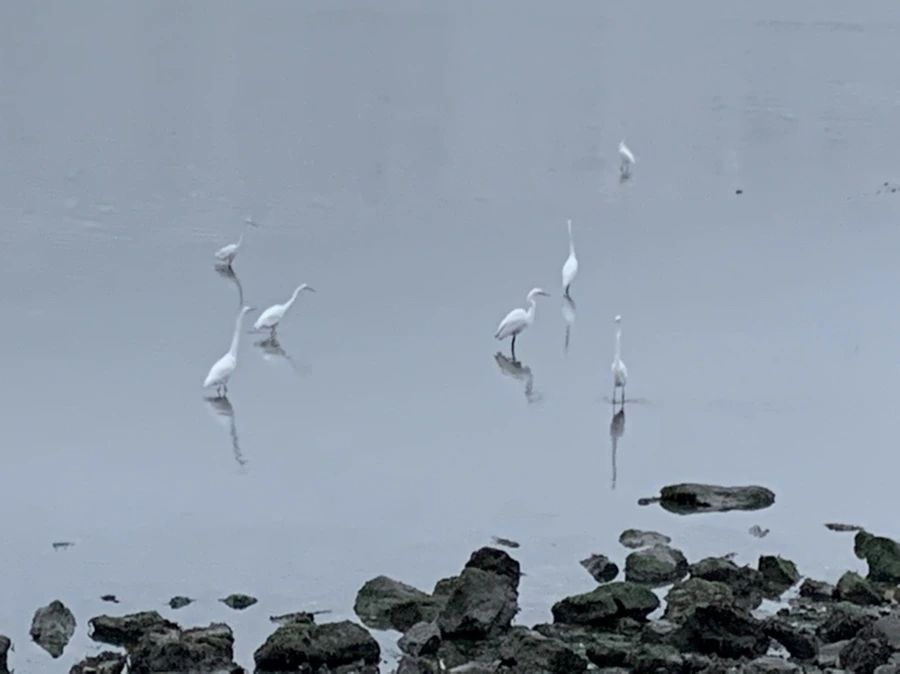 IMG_9680.jpg?type=w966