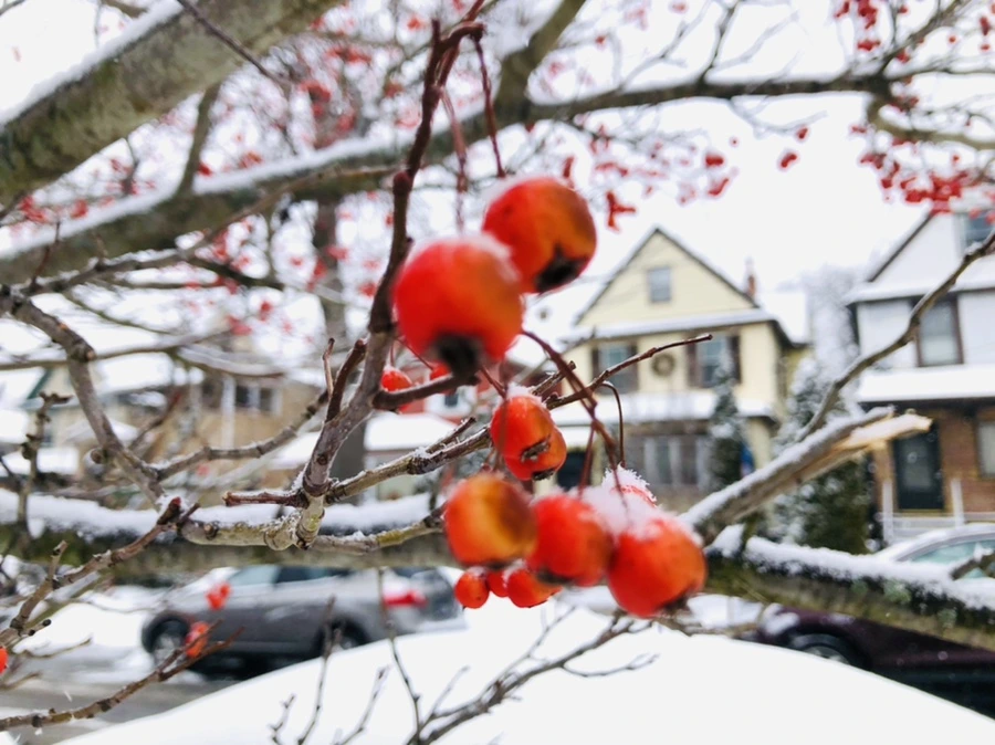 IMG_3477.jpg?type=w966