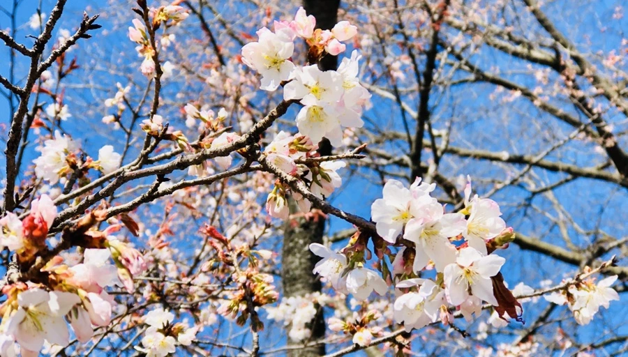 IMG_6634.jpg?type=w966