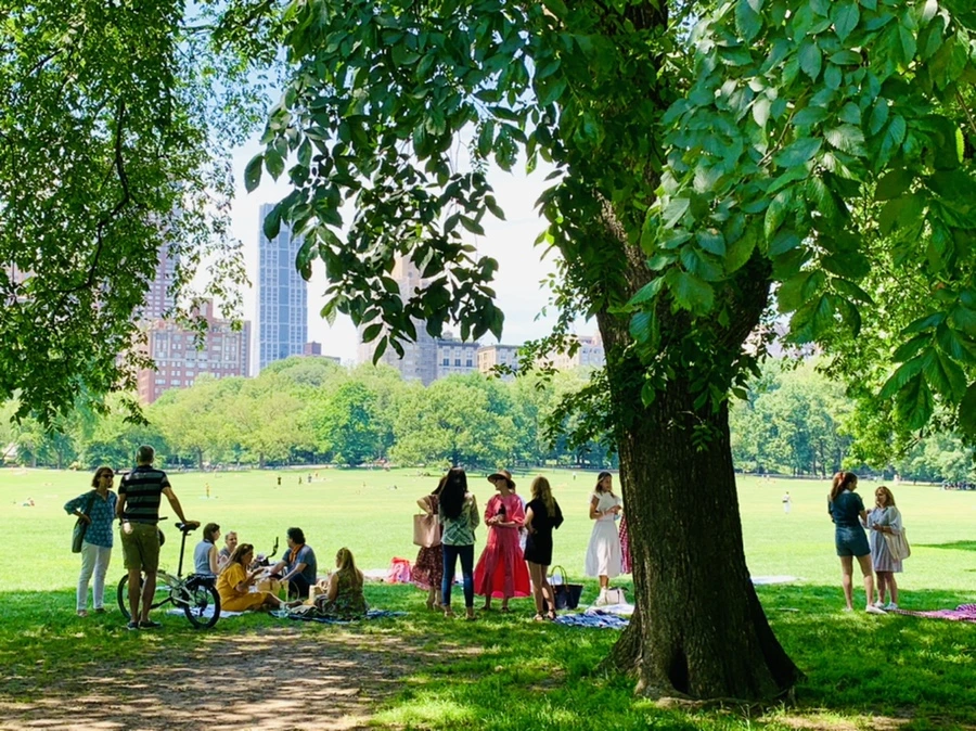 IMG_2283.jpg?type=w966