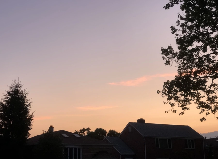 IMG_0087.jpg?type=w966