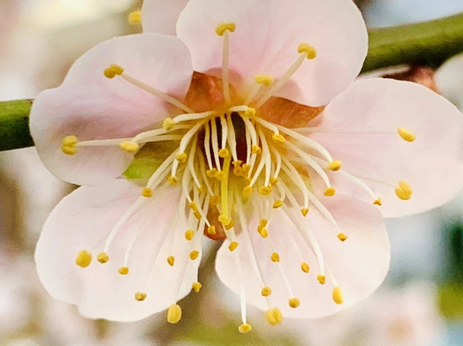 IMG_2865.jpg?type=w966