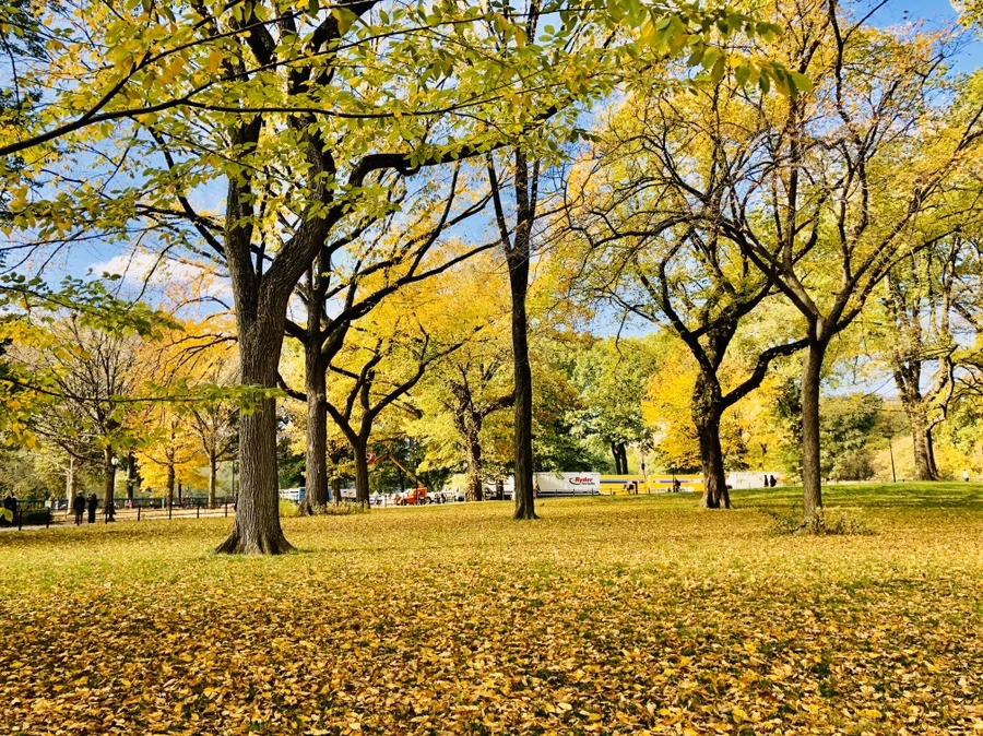 IMG_1762.jpg?type=w966