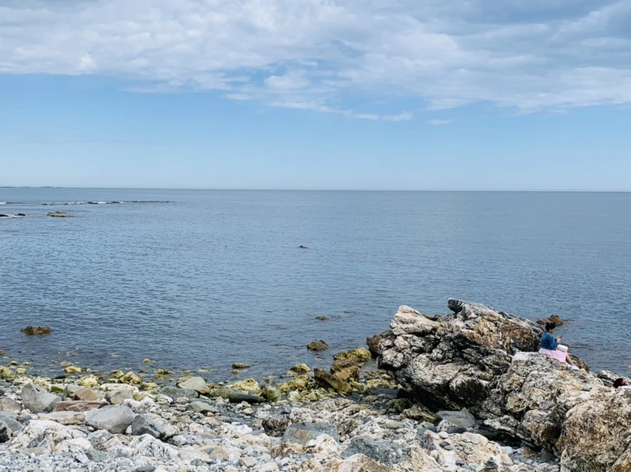 IMG_2742.jpg?type=w966