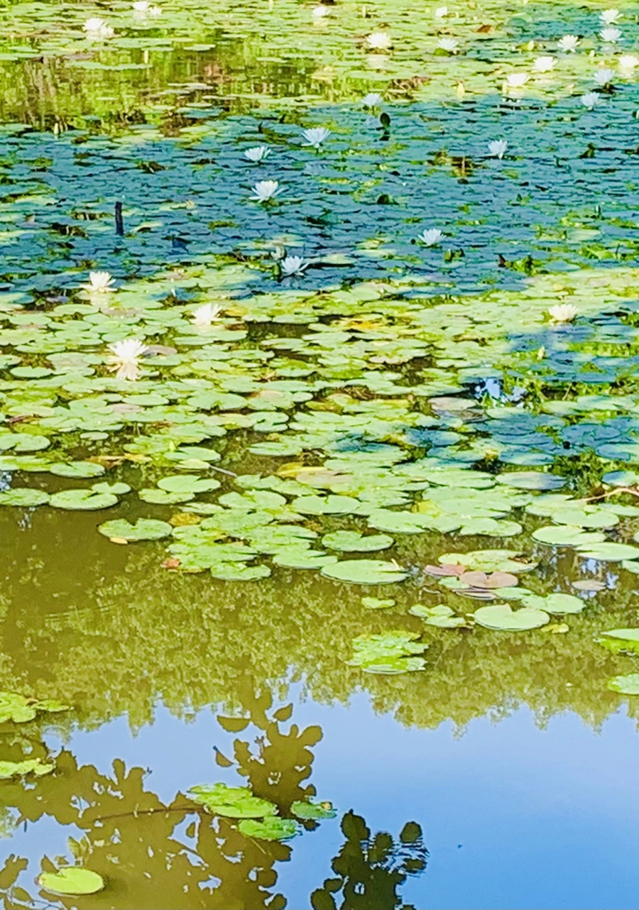 IMG_2114.jpg?type=w966