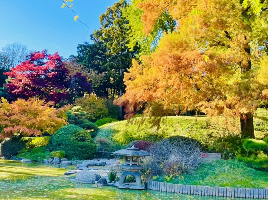 IMG_2028.jpg?type=w966