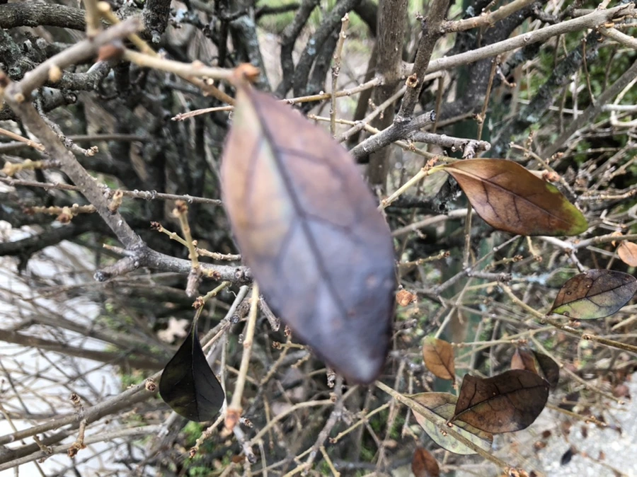 IMG_6353.jpg?type=w966